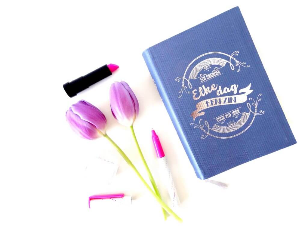 Waarom ik zou willen dat ik goed was in dagboek schrijven