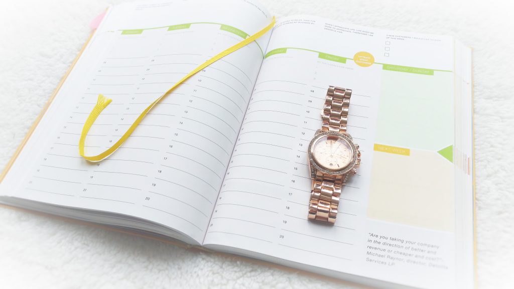 review Daily Greatness Business Planner