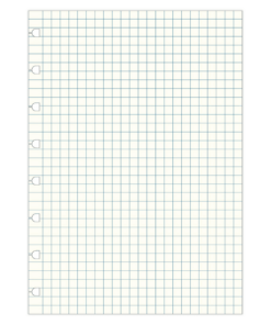 Filofax navullingen notitieboek A5 ruitjes 152905 (2)