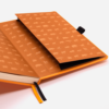 Dingbats notitieboek Earth Tangerine Serengeti dotted 1