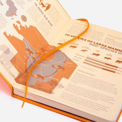 Dingbats notitieboek Earth Tangerine Serengeti dotted 3