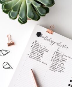 Balans-planner-binnenkant-boodschappenlijsten-3