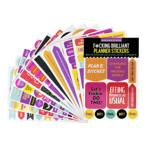 Peter Pauper F*cking Brilliant Planner Stickers 3