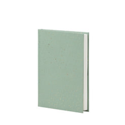 Rossler Notitieboek Sparkles Groen:Goud A5+