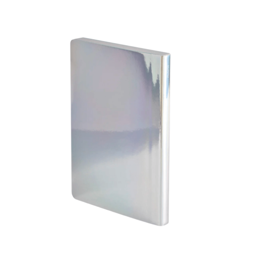Nuuna notitieboek Fluid Chrome M