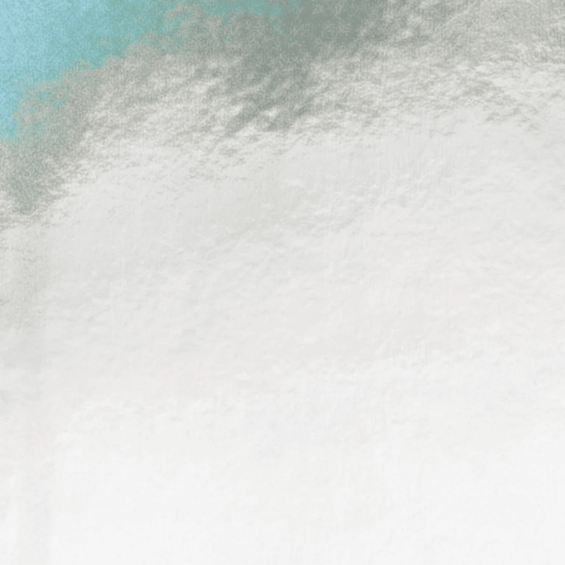 Nuuna notitieboek Fluid Chrome M