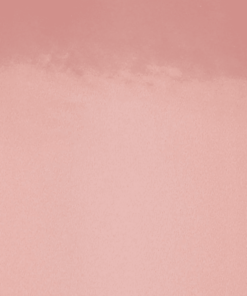 Nuuna notitieboek Shiny Starlet S Cosmo rosé