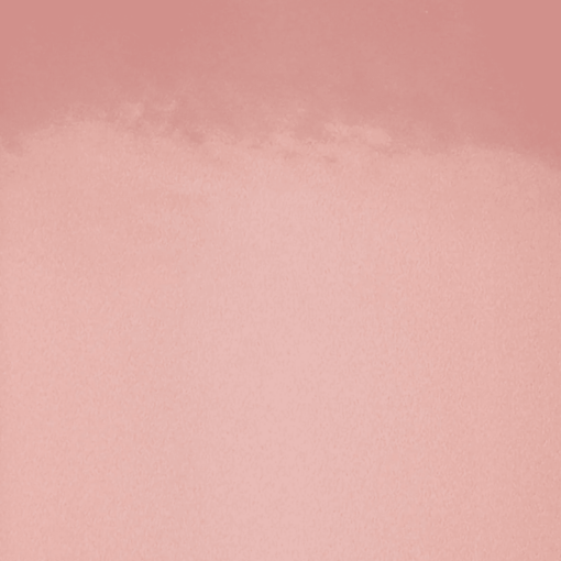 Nuuna notitieboek Shiny Starlet S Cosmo rosé